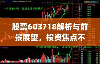 股票603718解析與前景展望，投資焦點不容錯過