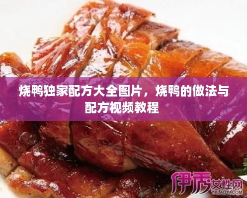 燒鴨獨家配方大全圖片，燒鴨的做法與配方視頻教程 