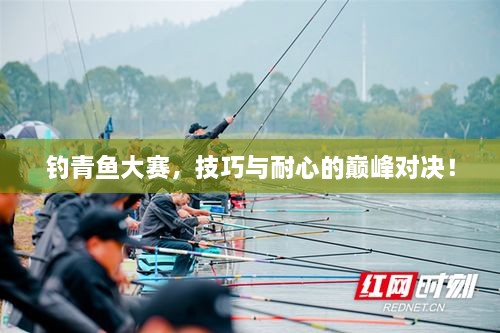 釣青魚大賽，技巧與耐心的巔峰對決！