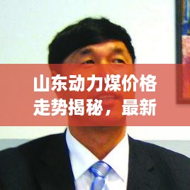 山東動(dòng)力煤價(jià)格走勢(shì)揭秘，最新行情分析報(bào)告