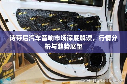 詩(shī)芬尼汽車音響市場(chǎng)深度解讀，行情分析與趨勢(shì)展望