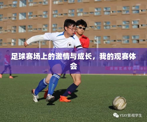 足球賽場(chǎng)上的激情與成長(zhǎng)，我的觀賽體會(huì)