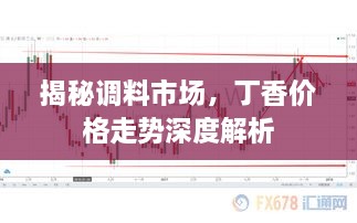 揭秘調(diào)料市場(chǎng)，丁香價(jià)格走勢(shì)深度解析