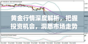 黃金行情深度解析，把握投資機(jī)會(huì)，洞悉市場(chǎng)走勢(shì)