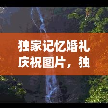 獨(dú)家記憶婚禮慶祝圖片，獨(dú)家記憶圖片唯美 