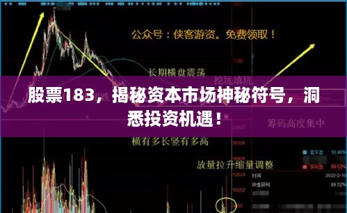 股票183，揭秘資本市場神秘符號(hào)，洞悉投資機(jī)遇！