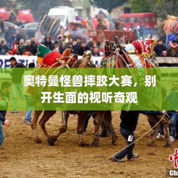 奧特曼怪獸摔跤大賽，別開生面的視聽奇觀