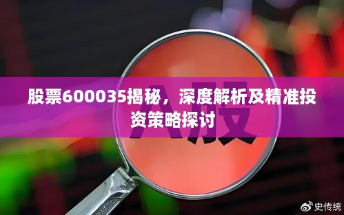 股票600035揭秘，深度解析及精準(zhǔn)投資策略探討
