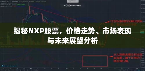 揭秘NXP股票，價格走勢、市場表現(xiàn)與未來展望分析