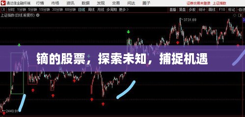 鏑的股票，探索未知，捕捉機遇