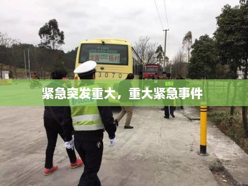 緊急突發(fā)重大，重大緊急事件 