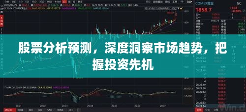 股票分析預(yù)測，深度洞察市場趨勢，把握投資先機(jī)