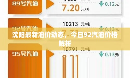 沈陽最新油價動態(tài)，今日92汽油價格解析