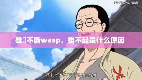 雄獣不斷wasp，雄不起是什么原因 
