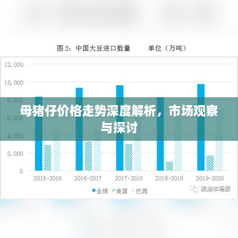 母豬仔價格走勢深度解析，市場觀察與探討