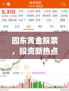園東黃金股票，投資新熱點，財富新選擇
