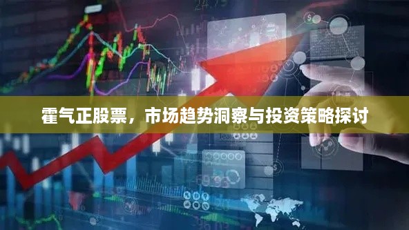 霍氣正股票，市場(chǎng)趨勢(shì)洞察與投資策略探討