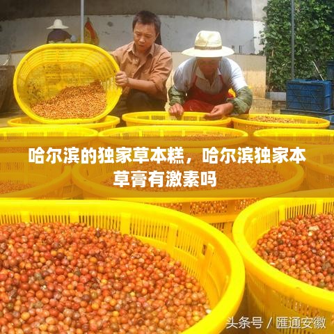 哈爾濱的獨家草本糕，哈爾濱獨家本草膏有激素嗎 