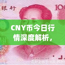 CNY幣今日行情深度解析，最新價(jià)格動(dòng)態(tài)一網(wǎng)打盡！