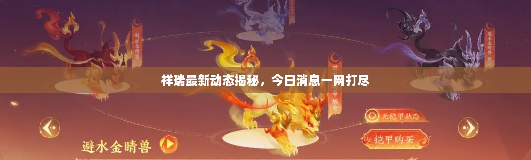 祥瑞最新動態(tài)揭秘，今日消息一網(wǎng)打盡