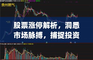 股票漲停解析，洞悉市場脈搏，捕捉投資黃金機(jī)會(huì)