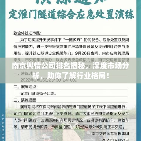南京輿情公司排名揭秘，深度市場分析，助你了解行業(yè)格局！