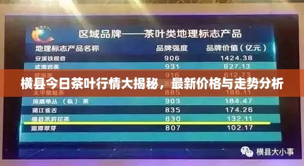 橫縣今日茶葉行情大揭秘，最新價格與走勢分析