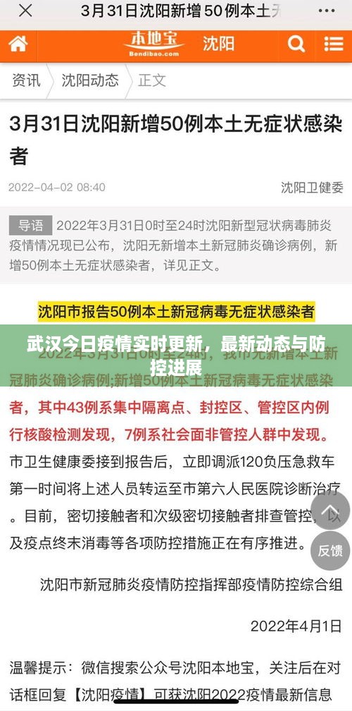 武漢今日疫情實時更新，最新動態(tài)與防控進(jìn)展