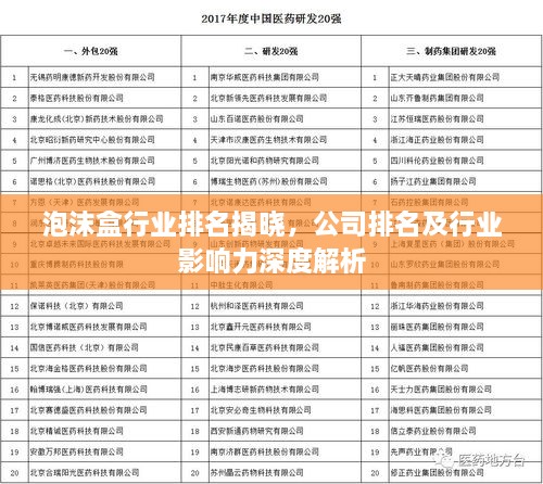 泡沫盒行業(yè)排名揭曉，公司排名及行業(yè)影響力深度解析