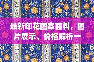 最新印花圖案面料，圖片展示、價格解析一網(wǎng)打盡
