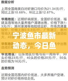 寧波魚(yú)市最新動(dòng)態(tài)，今日魚(yú)價(jià)、市場(chǎng)走勢(shì)及影響因素全解析