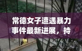 常德女子遭遇暴力事件最新進展，持續(xù)關(guān)注被打女子最新消息