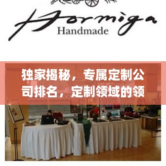 獨家揭秘，專屬定制公司排名，定制領域的領軍者