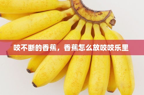 咬不斷的香蕉，香蕉怎么放咬咬樂里 