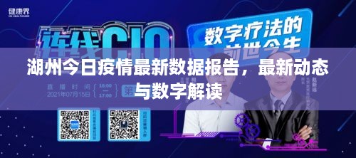 湖州今日疫情最新數據報告，最新動態(tài)與數字解讀