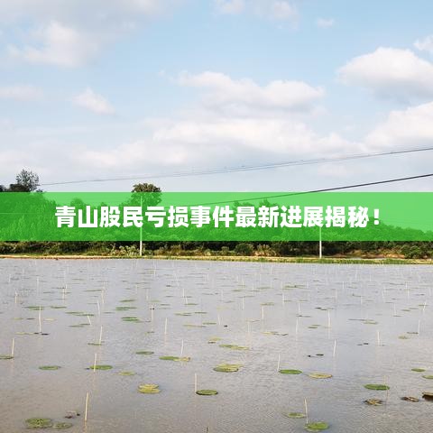 青山股民虧損事件最新進展揭秘！