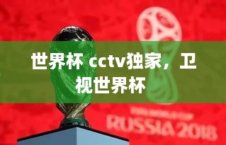 世界杯 cctv獨(dú)家，衛(wèi)視世界杯 