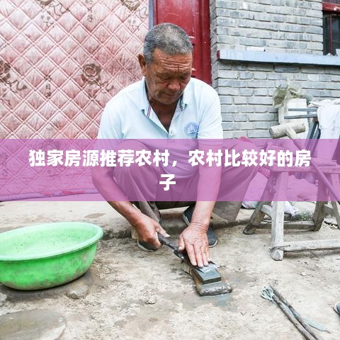 獨(dú)家房源推薦農(nóng)村，農(nóng)村比較好的房子 