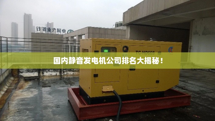 國內(nèi)靜音發(fā)電機(jī)公司排名大揭秘！