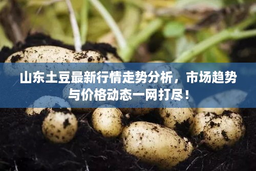 meilunmeihuan 第2頁(yè)