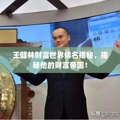 王健林財(cái)富世界排名揭秘，揭秘他的財(cái)富帝國！