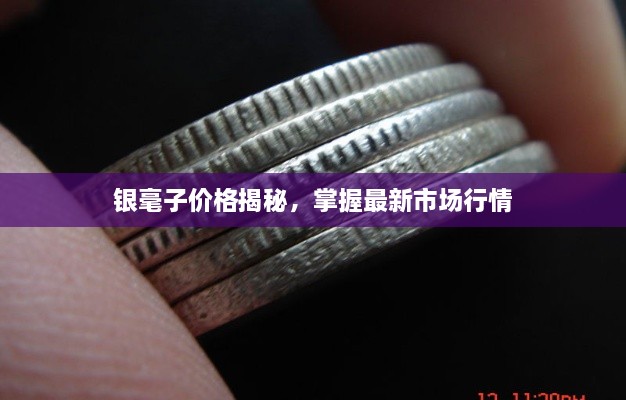 銀毫子價格揭秘，掌握最新市場行情