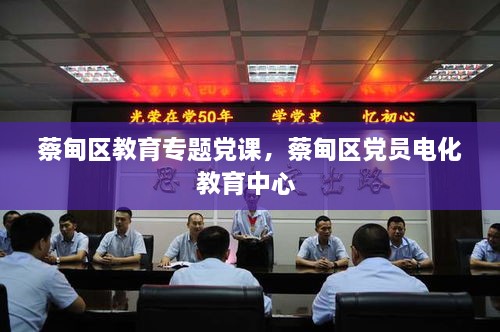 蔡甸區(qū)教育專題黨課，蔡甸區(qū)黨員電化教育中心 