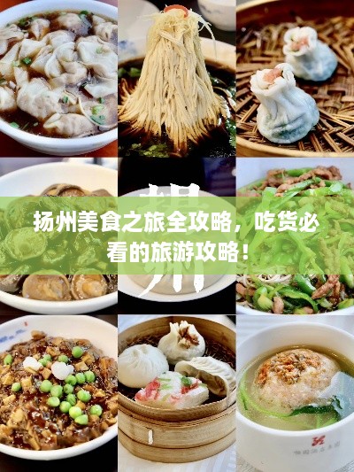 揚州美食之旅全攻略，吃貨必看的旅游攻略！