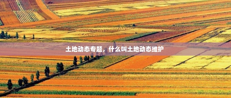 土地動(dòng)態(tài)專題，什么叫土地動(dòng)態(tài)維護(hù) 