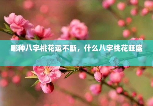 哪種八字桃花運(yùn)不斷，什么八字桃花旺盛 