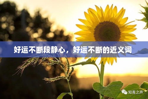 好運不斷段靜心，好運不斷的近義詞 
