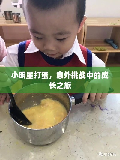 小明星打蛋，意外挑戰(zhàn)中的成長之旅
