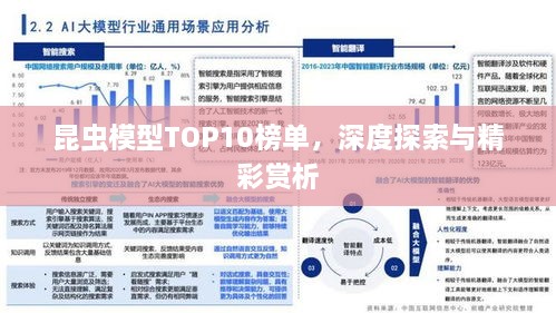 昆蟲模型TOP10榜單，深度探索與精彩賞析