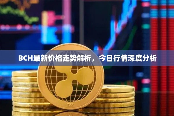 BCH最新價(jià)格走勢(shì)解析，今日行情深度分析